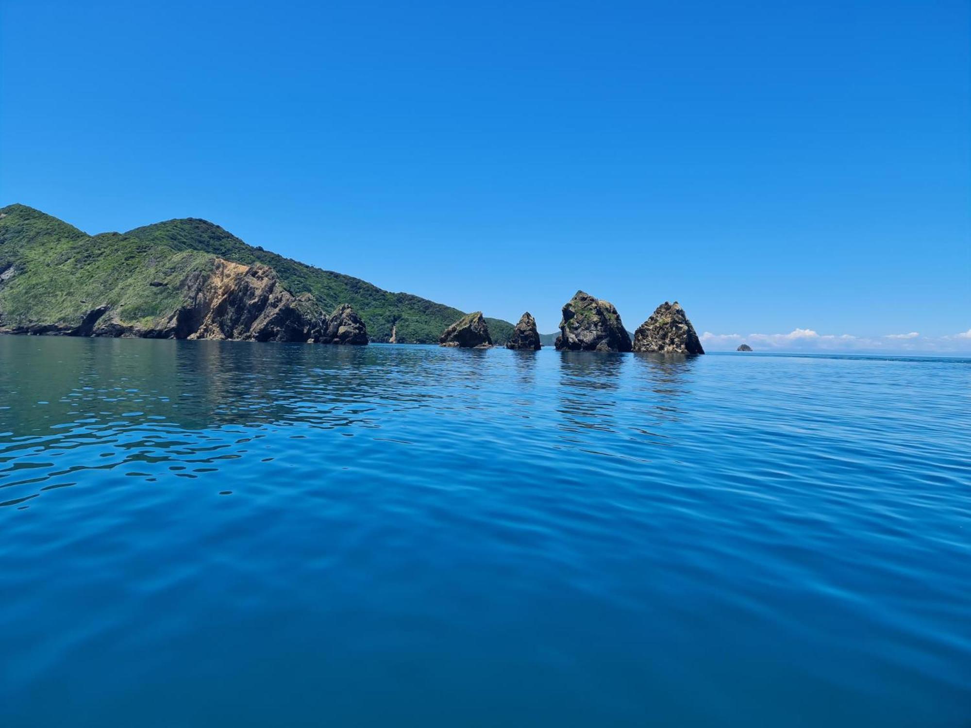 Tō Tātou Kainga Hostel Blenheim Bagian luar foto